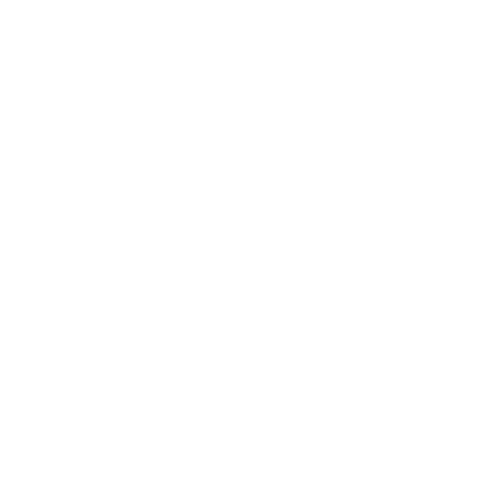 Reticolo